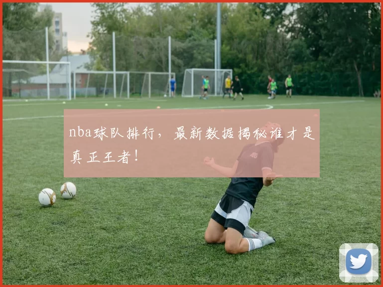 nba球队排行，最新数据揭秘谁才是真正王者！