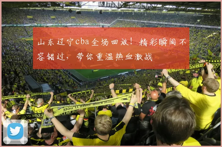 山东辽宁cba全场回放！精彩瞬间不容错过，带你重温热血激战